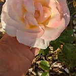 Dans Un Cadre Bucolique Avec Petit-déjeuner *