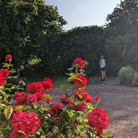 홈스테이 Dans Un Cadre Bucolique Avec Petit-dejeuner Sevremoine