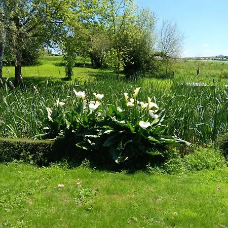 홈스테이 Dans Un Cadre Bucolique Avec Petit-dejeuner Sevremoine