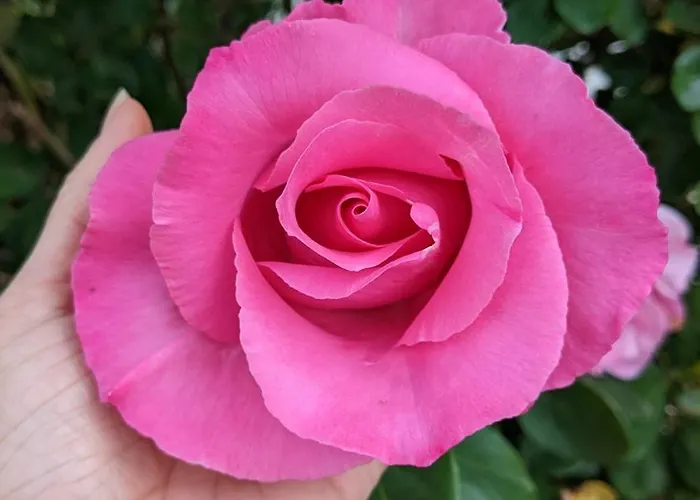 Δωμάτια σε οικογενειακή κατοικία Dans Un Cadre Bucolique Avec Petit-dejeuner Sevremoine