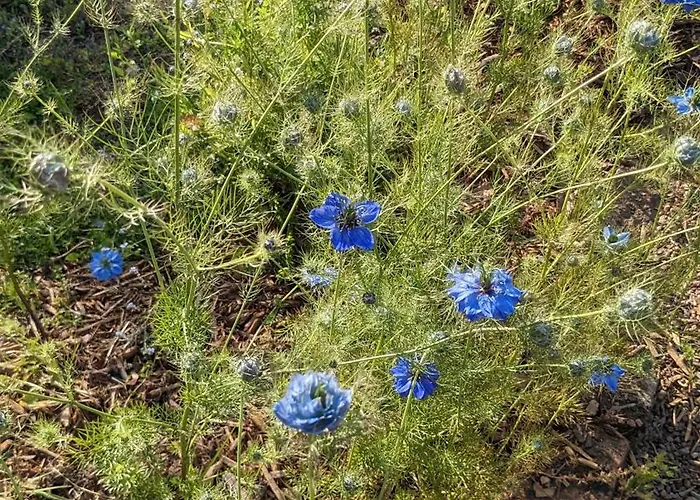 Δωμάτια σε οικογενειακή κατοικία Dans Un Cadre Bucolique Avec Petit-dejeuner *