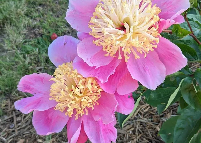 Dans Un Cadre Bucolique Avec Petit-dejeuner