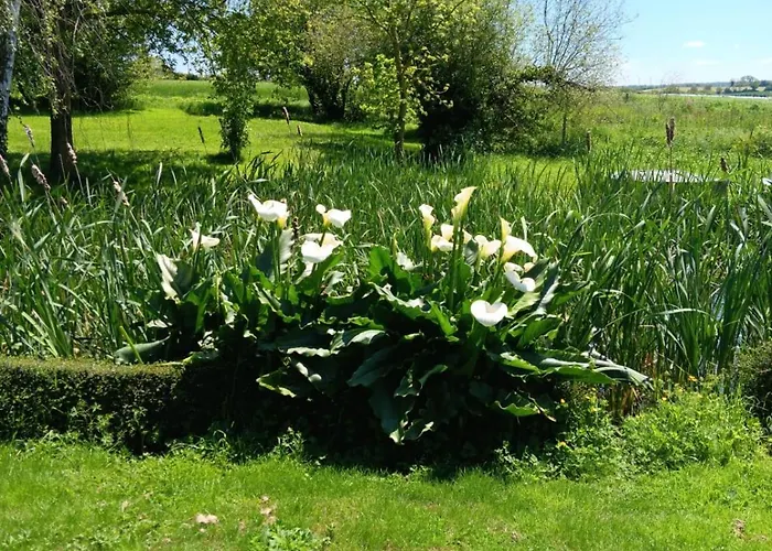 Δωμάτια σε οικογενειακή κατοικία Dans Un Cadre Bucolique Avec Petit-dejeuner Sevremoine
